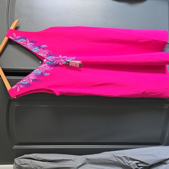 Vibrant Pink Sleeveless Dress with Embroidered Detail - Picture 4 of 4